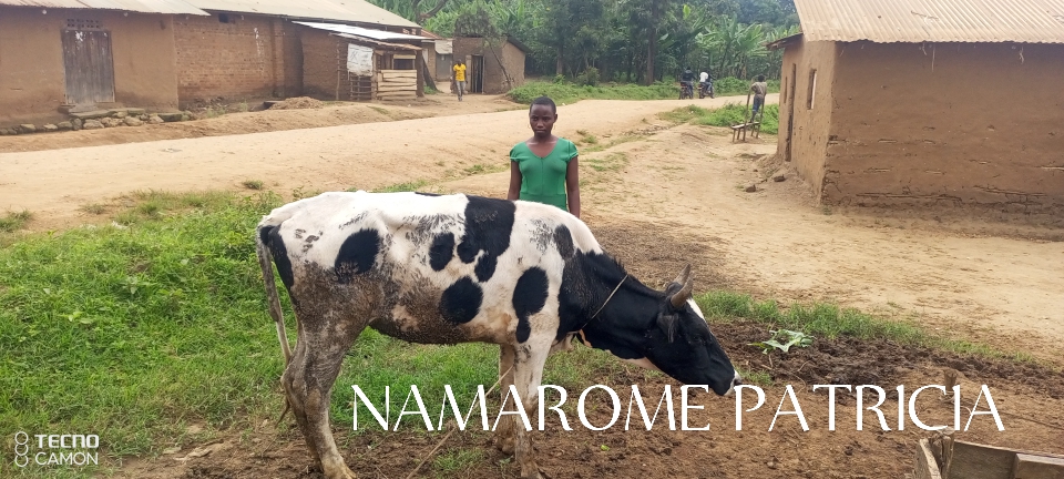 IMG_20231130_114855_464