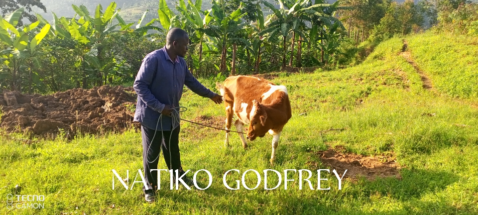 IMG_20231201_171055_162